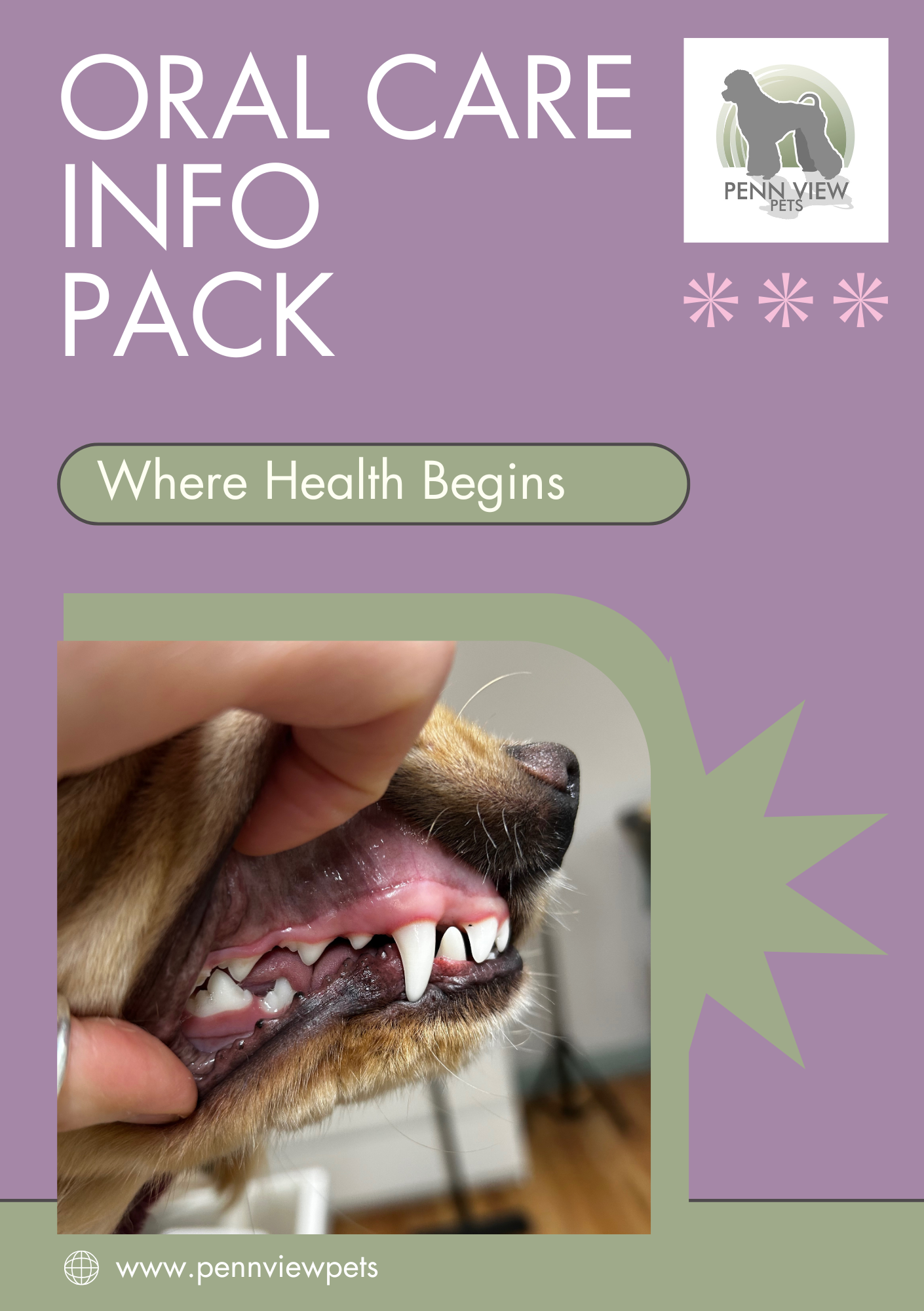 Oral Care Info Pack