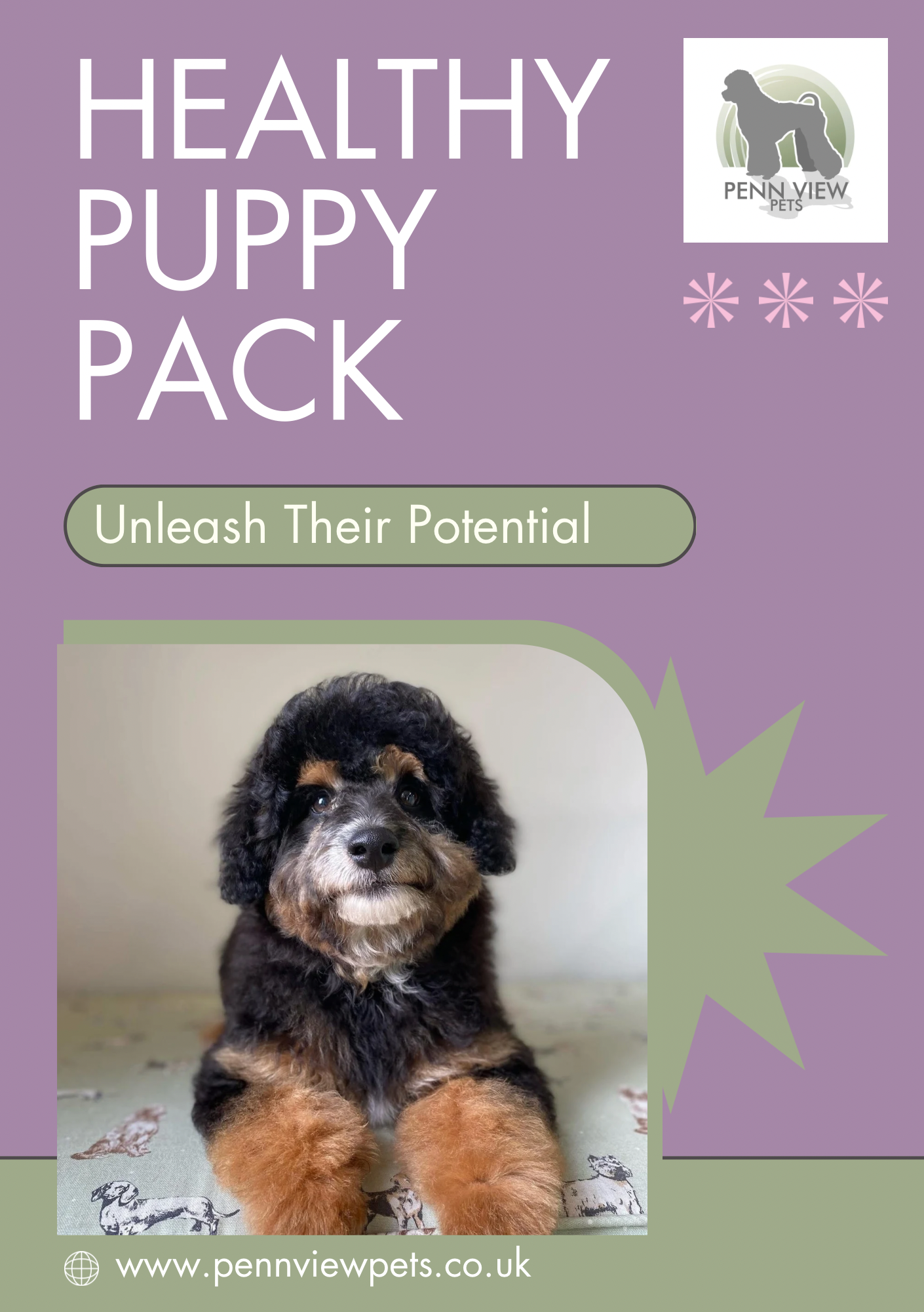 Healthy Puppy Pack