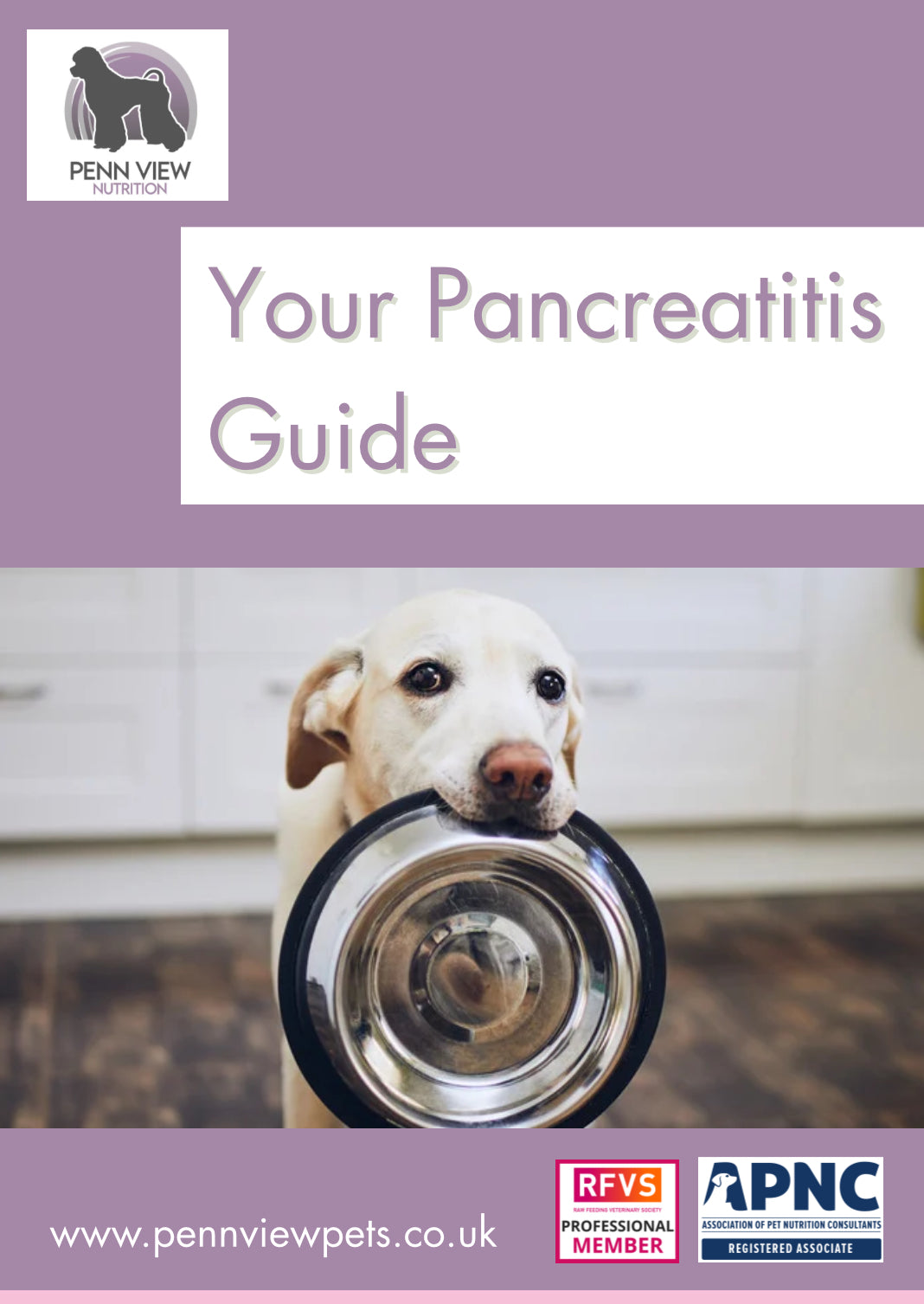 Free Pancreatitis Guide
