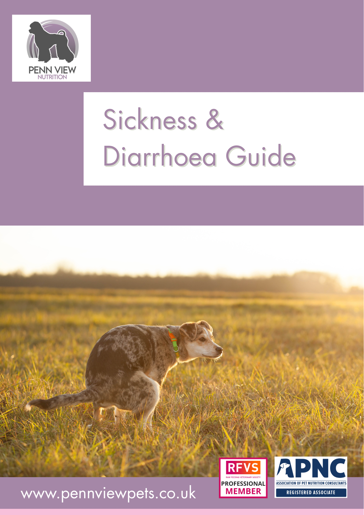Free Sickness & Diarrhoea Guide